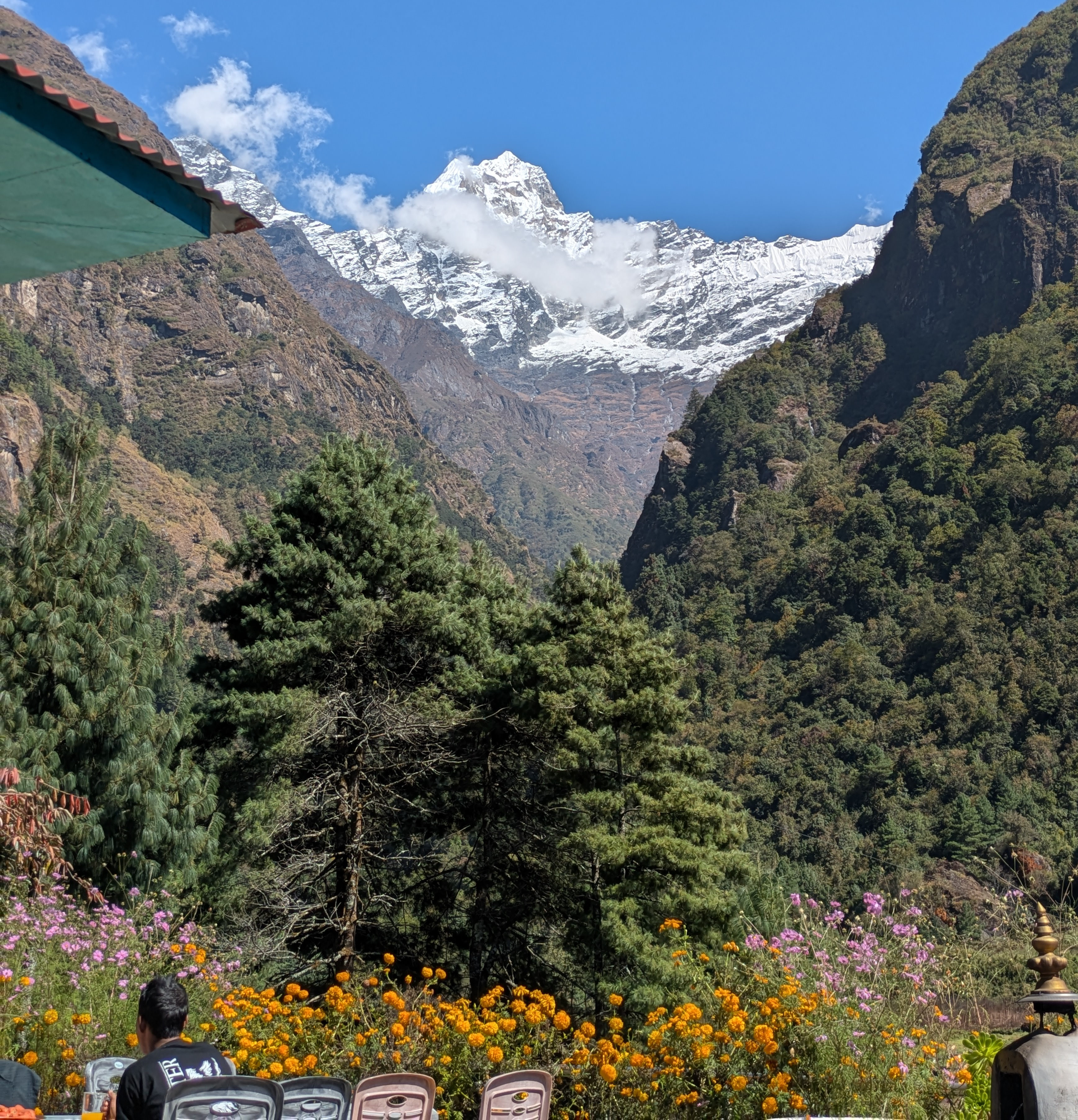 Fleurs orange devant le paysage