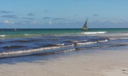 Featured image of post Un premier mois au Kenya