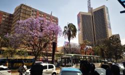 Featured image of post Une première semaine au Kenya