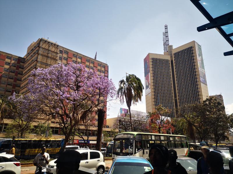 Featured image of post Une première semaine au Kenya