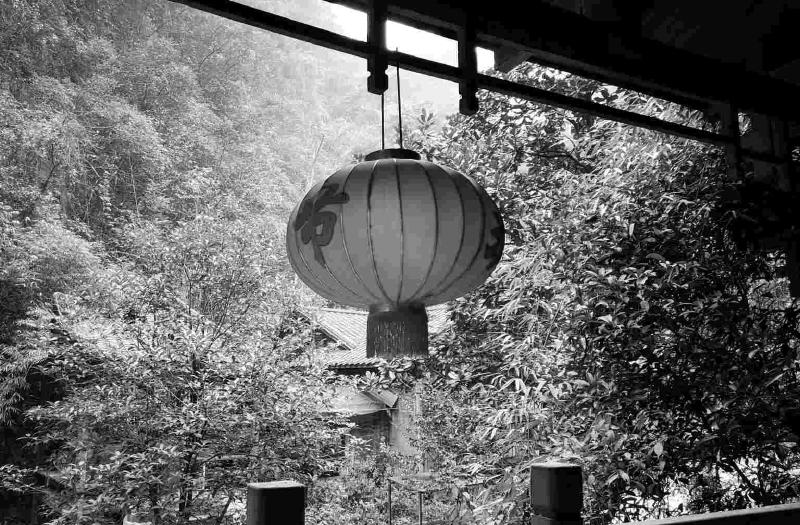 Featured image of post Vis ma vie en Terre du Milieu 中国