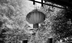 Featured image of post Vis ma vie en Terre du Milieu 中国